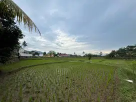 Sawah murah strategis