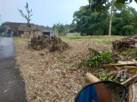 Tanah Murah Antirogo Dekat Banyak Perumahan