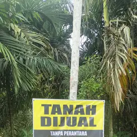 Perkebunan Tangkit Lamo