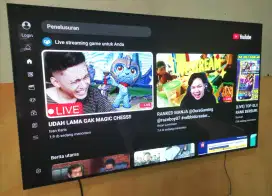 LG Smart TV 55 Inch OLED + Bracket TV