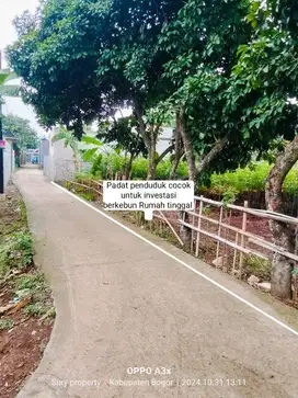 TANAH KEBUN MURAH DEKAT KE VIKTOR PAMULANG TANGSEL