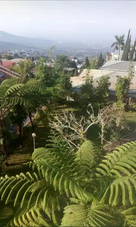 DiJual Villa Tretes Dengan View Menakjubkan Pagi - Malam Pasuruan.