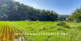 Dijual tanah sawah kebun subur luas akses jalan lebar dekat kota