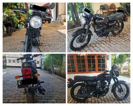 Kawasaki W 175 Black Style