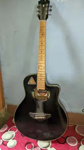 Gitar Akustik APX 500II