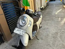 Scoopy Prestige 23