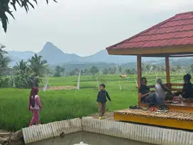 Sawah murah cuma 400 ribuan permeter dekat Cibubur Cibarusah