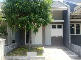 Baru Gress Mungil Ciamik Rumah Bayleaf Residence, Menganti