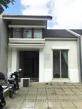 Rumah Murah 6x17 di Grand Harvest Kebraon wiyung