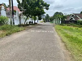 Purnama Lorong Seroja