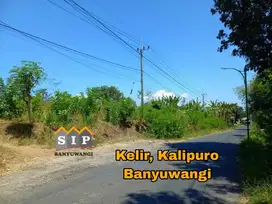 Dijual Tanah Pinggir Jalan Kelir Barat KUD Kalipuro Banyuwangi