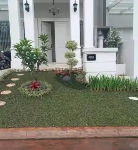 Tukang taman/Renovasi taman