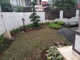 Pemasangan Taman Minimalais(Rumah, Gedung, Kantor), dll