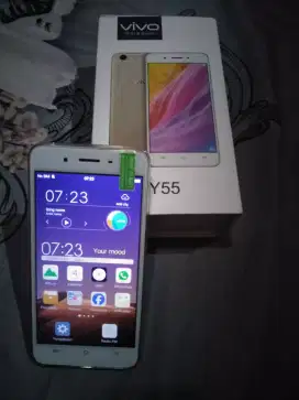 Vivo Y55A Normal