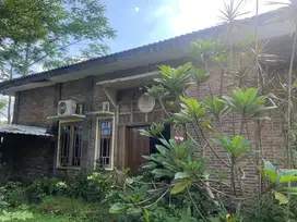 Tanah di Pakem Seluas 1101 Meter Persegi Cocok Untuk Homestay