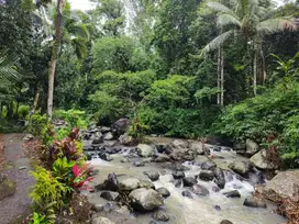 dijual tanah murah los sungai di bali