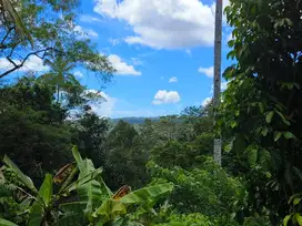 tanah kebun durian murah ditabanan bali