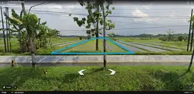 Dijual Tanah sawah Purworejo