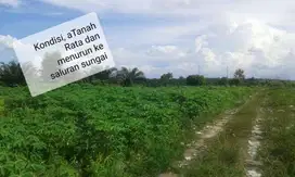 Dijual Tanah Strategis di Pekanbaru KM.16 seluas 7 hektar