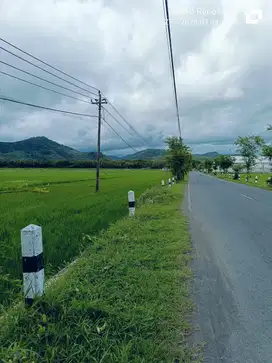 Tanah Dijual view sawah dan pegunungan Menoreh dekat Bandara YIA