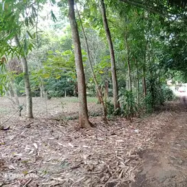 Tanah Murah kebun rambutan 3500mtr shm dekat tol kalijati