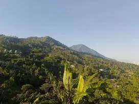 Tanah dengan view yang menawan kawasan villa dan resort di Wanagiri