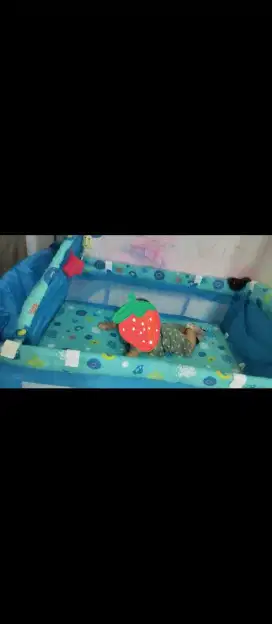 Box bayi merk hugo