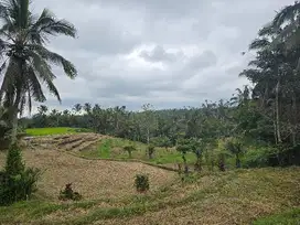 DIJUAL TANAH SAWAH DENGAN VIEW SAWAH DAN LEMBAH ditabanan bali