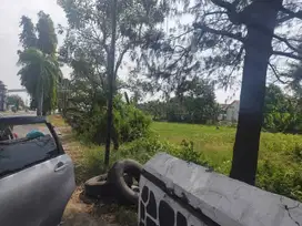 Tanah murah shm pinggir jalan raya