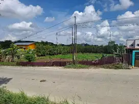 Dijual Tanah Kariangau Km. 5,5