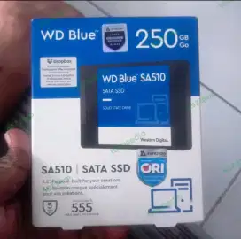 WD Blue SSD sata SA510 250 GB