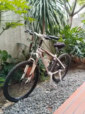 Sepeda Gunung MTB Polygon Xtrada 3