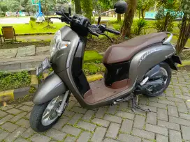 Scoopy Stylish 2019