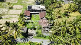 Jual Tanah Sudah Isi Bangunan Rumah Luas Tanah 12  Are View Sawah Ubud