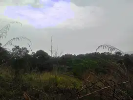 Tanah Kavling luas di Cigudeg Kabupaten Bogor