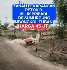 TANAH MILIK PRIBADI PETOK D LOKASI DS SUMURGUNG MBONGKOL TUBAN