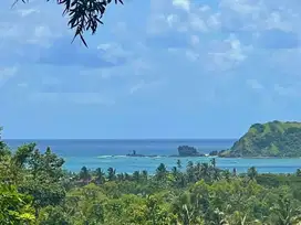 Tanah murah di Kuta Mandalika Lombok. Cocok untuk villa