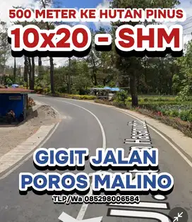 JUAL TANAH PINGGIR JALAN POROS MALINO 500 METER KE HUTAN PINUS