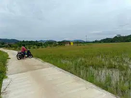 Tanah sawah produktif bagus akses mobil dekat pasilitas umum