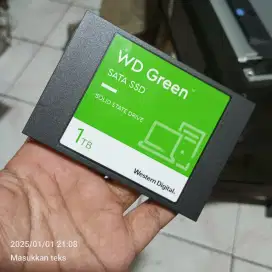 SSD WD green 1TB murmer