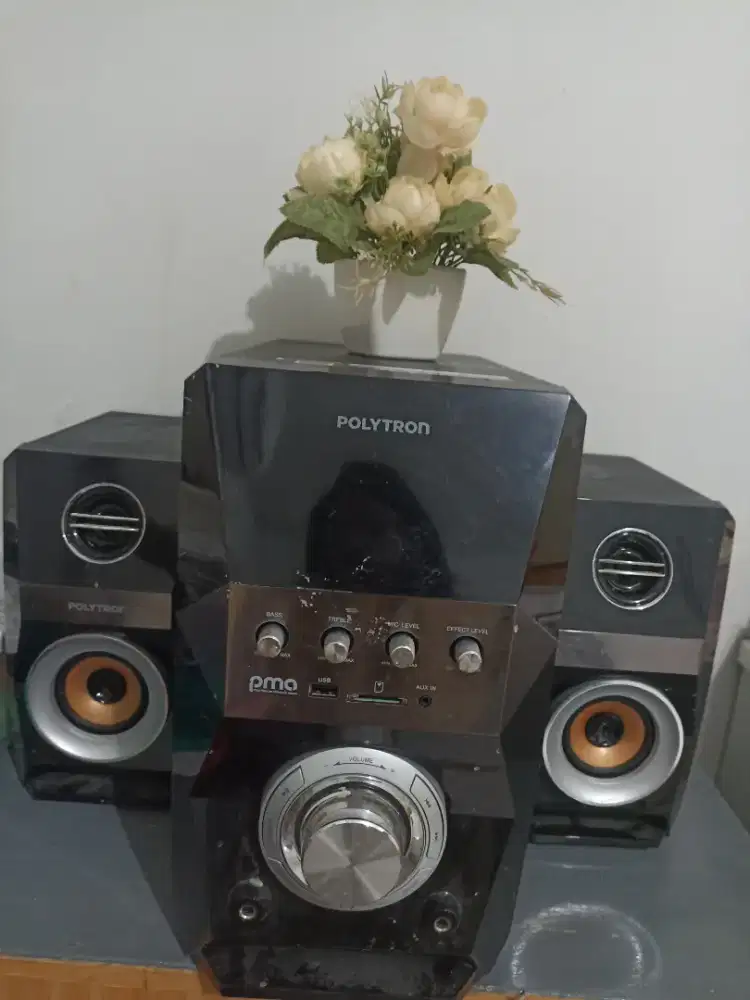 Polytron Audia connect