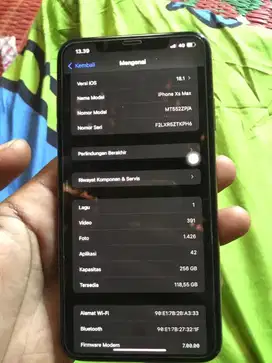 iphone xs max 256Gb