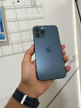 iPhone 12 Pro Max 256gb Blue