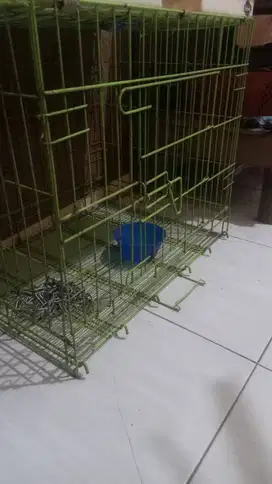 Kandang anjing, kucing