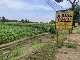 jual tanah tanon kec papar jln provinsi kediri surabaya sekoto