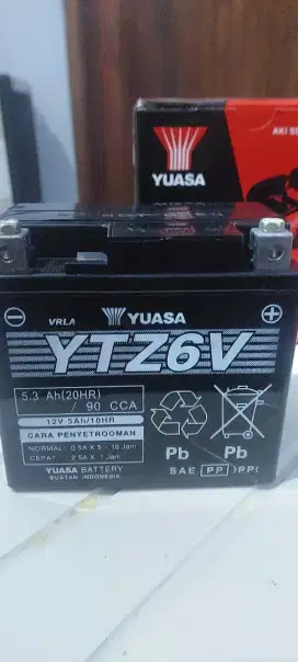 Aki Yuasa YTZ6V