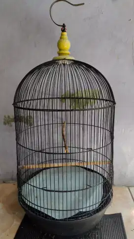 kandang lovebird jumbo