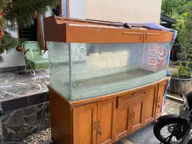 Aquarium 5 meter kaca lengkung