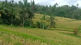 Jual tanah sawah view bagus di tabanan bali.