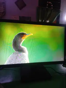 Monitor Led Viewsonic 22 FHD